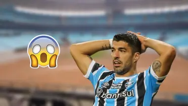 Luis Suárez lamentándose con la camiseta de Gremio de Porto Alegre