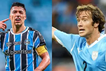 Diego Lugano habló de la situación de Luis Suárez en Gremio y le dejó un especial mensaje al Pistolero